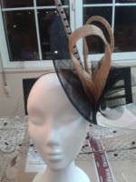 Modelo "Guacamayo"